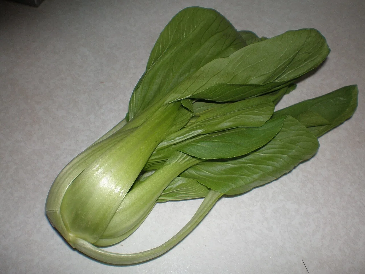 Heads of fresh bok choy with pale white stalks and dark green leaves