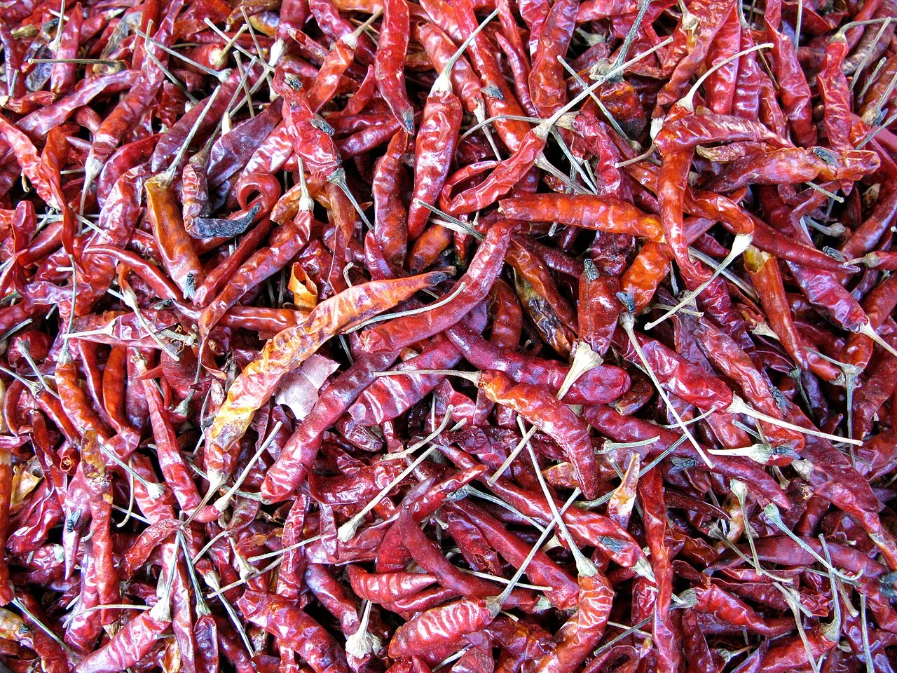 Dried whole cayenne chili peppers, deep red, densely packed