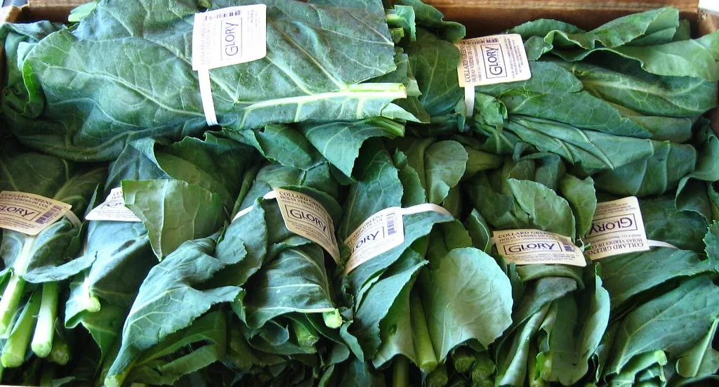 Bundles of fresh collard greens in a produce box