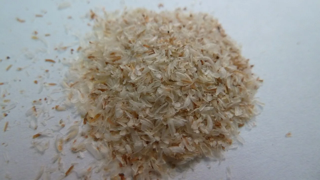 A pile of pale, flaky psyllium husk