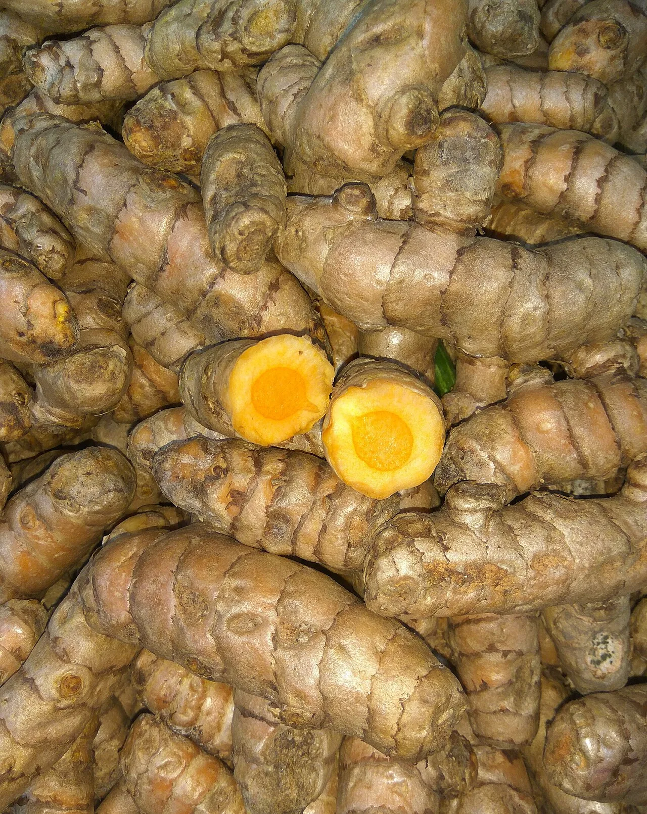 Fresh turmeric rhizomes, one cut open to reveal a vivid orange interior
