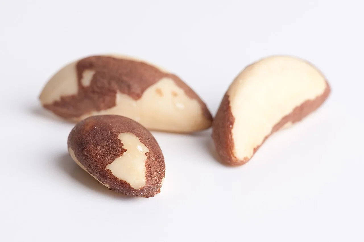 Three shelled Brazil nuts on a white background